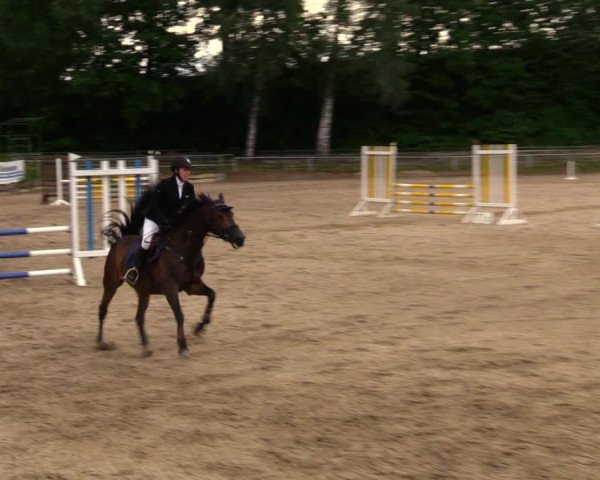 Reitturnier Lgl.-Oberhain, B95 2020