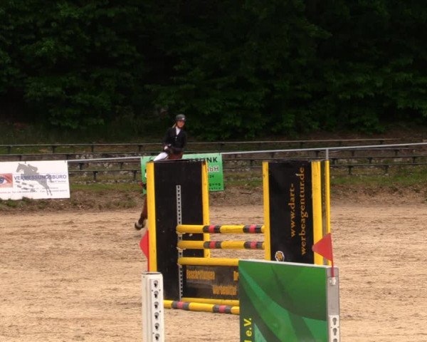 Reitturnier Lgl.-Oberhain, B95 2020