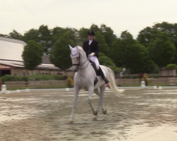 Reitturnier Schülp bei Rendsburg (Am Moltkestein) 2020