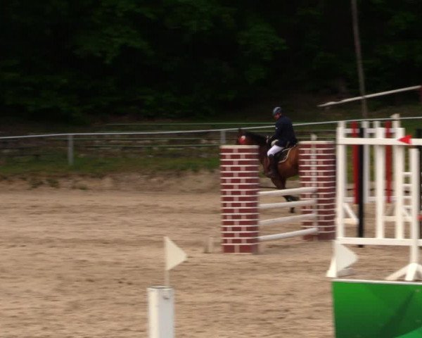 Reitturnier Lgl.-Oberhain, B95 2020