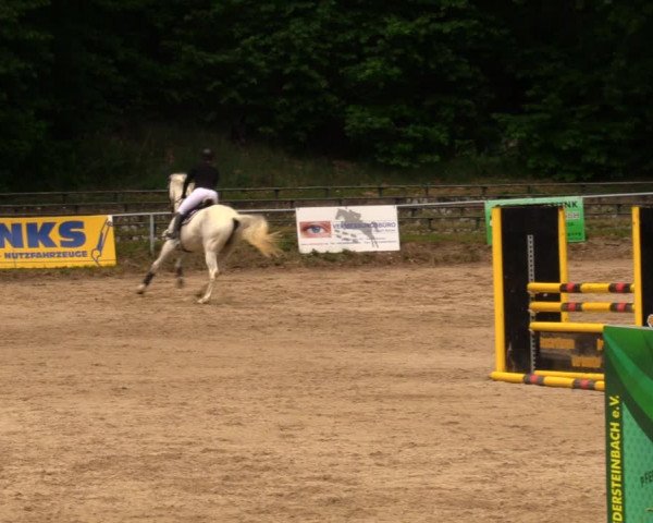 Reitturnier Lgl.-Oberhain, B95 2020