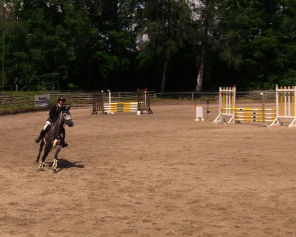 Reitturnier Lgl.-Oberhain, B95 2020