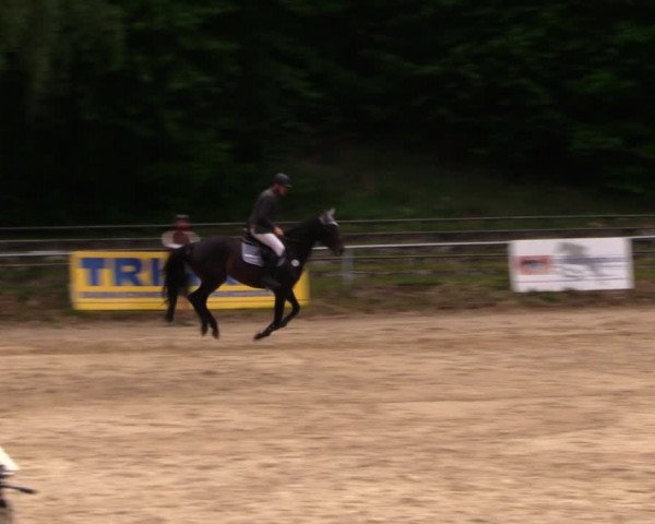 Reitturnier Lgl.-Oberhain, B95 2020