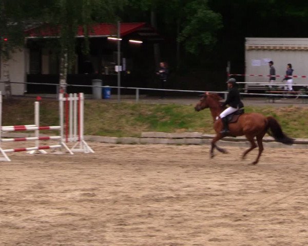 Reitturnier Lgl.-Oberhain, B95 2020