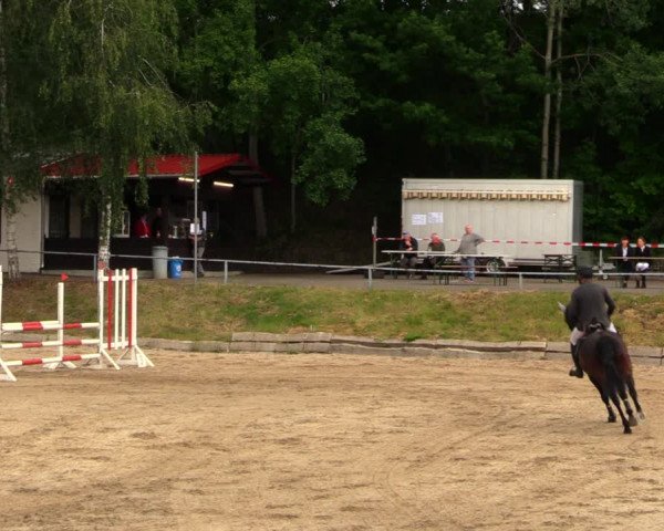 Reitturnier Lgl.-Oberhain, B95 2020