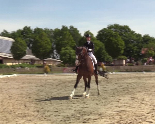 Reitturnier Schülp bei Rendsburg (Am Moltkestein) 2020