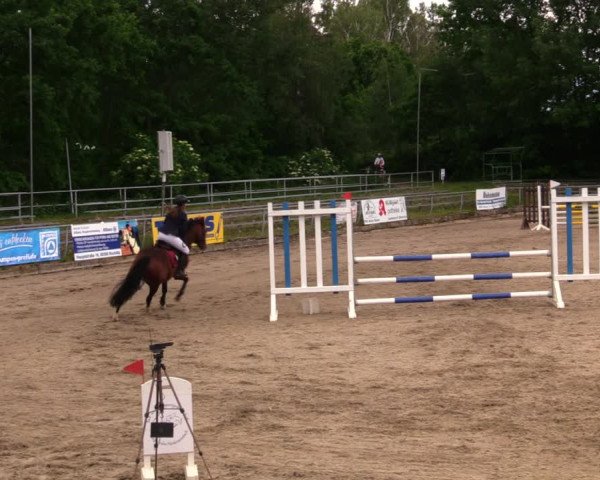 Reitturnier Lgl.-Oberhain, B95 2020