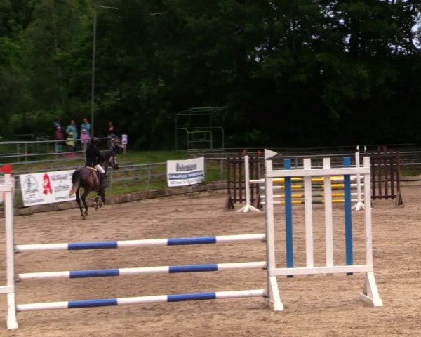 Reitturnier Lgl.-Oberhain, B95 2020