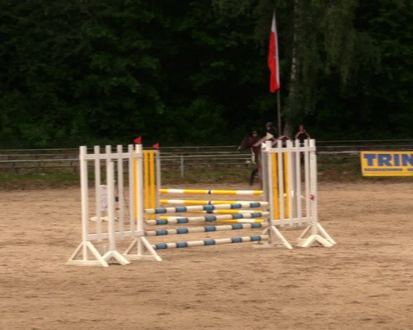 Reitturnier Lgl.-Oberhain, B95 2020
