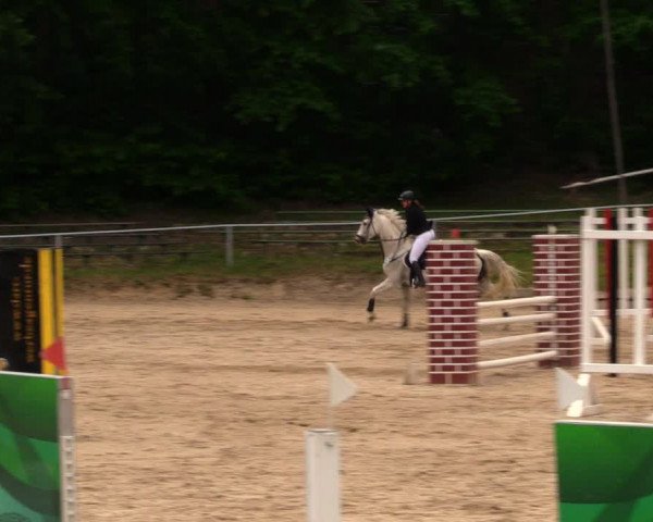 Reitturnier Lgl.-Oberhain, B95 2020