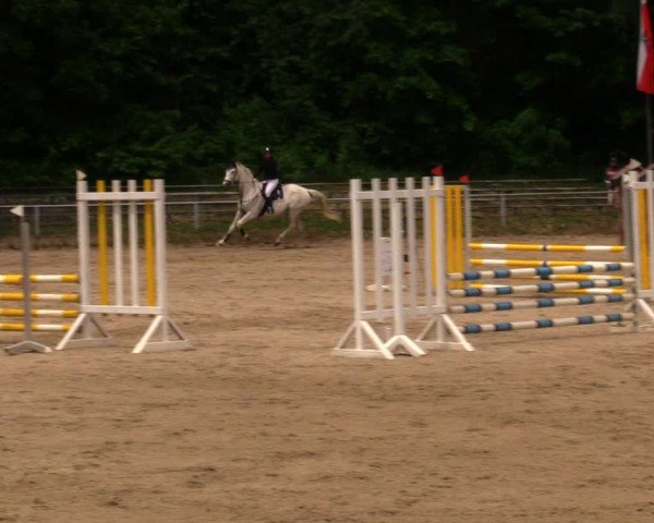 Reitturnier Lgl.-Oberhain, B95 2020