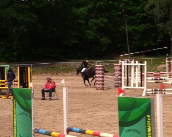 Reitturnier Lgl.-Oberhain, B95 2020