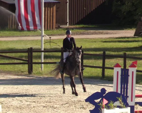 Reitturnier Westergellersen 2020