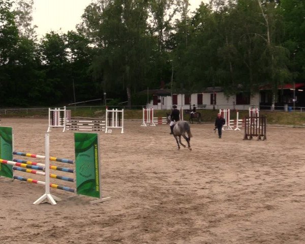 Reitturnier Lgl.-Oberhain, B95 2020