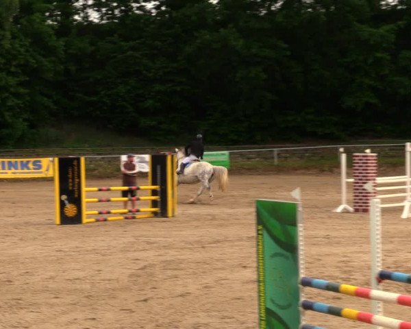 Reitturnier Lgl.-Oberhain, B95 2020