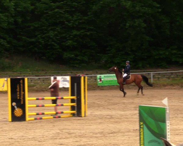 Reitturnier Lgl.-Oberhain, B95 2020