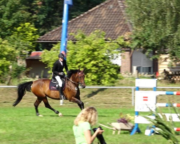 Dannenberger Reitertage 2021
