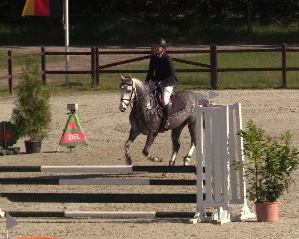 Reitturnier Westergellersen 2020