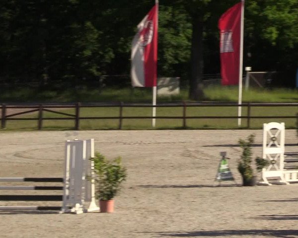 Reitturnier Westergellersen 2020