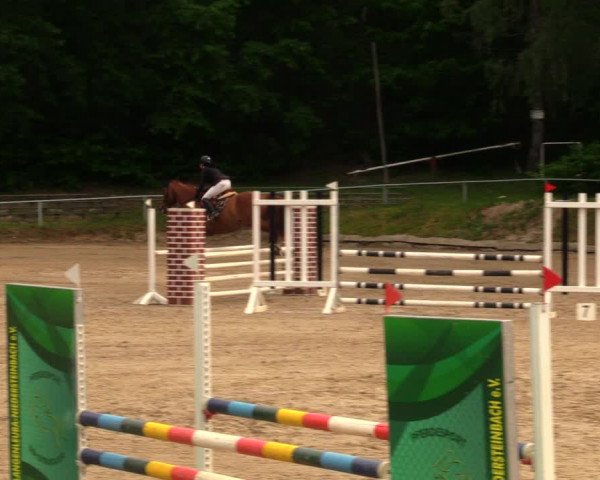 Reitturnier Lgl.-Oberhain, B95 2020