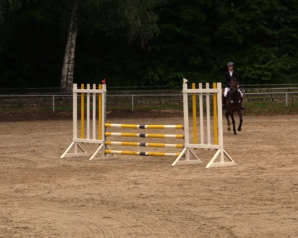 Reitturnier Lgl.-Oberhain, B95 2020