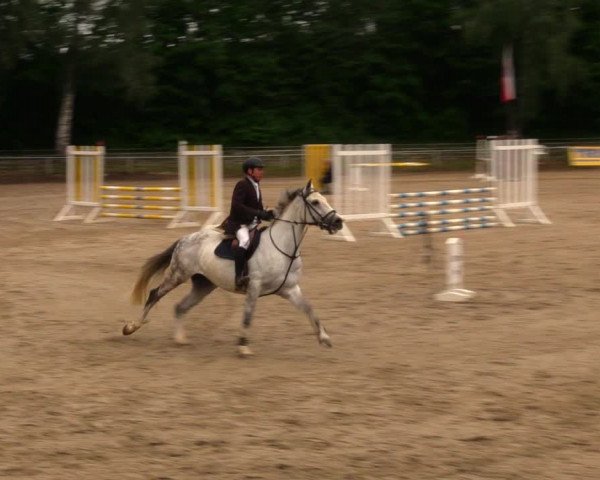 Reitturnier Lgl.-Oberhain, B95 2020