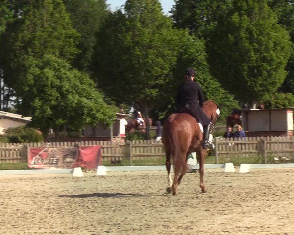Reitturnier Schülp bei Rendsburg (Am Moltkestein) 2020