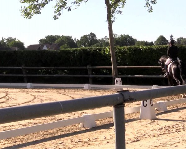 Reitturnier Niedernstöcken 2020