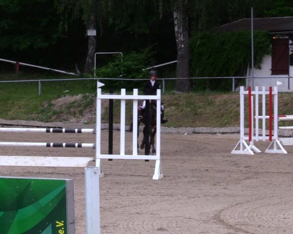 Reitturnier Lgl.-Oberhain, B95 2020