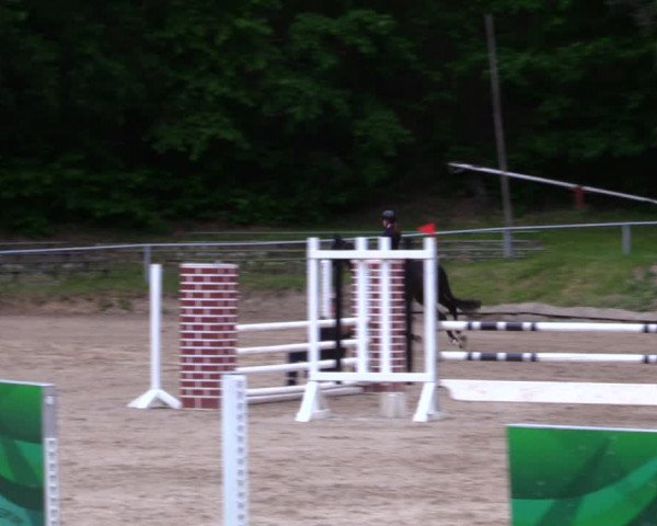 Reitturnier Lgl.-Oberhain, B95 2020