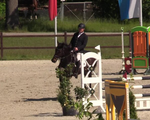 Reitturnier Westergellersen 2020