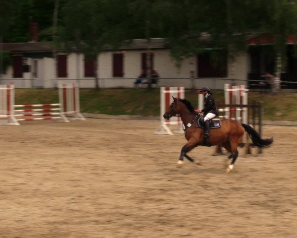 Reitturnier Lgl.-Oberhain, B95 2020