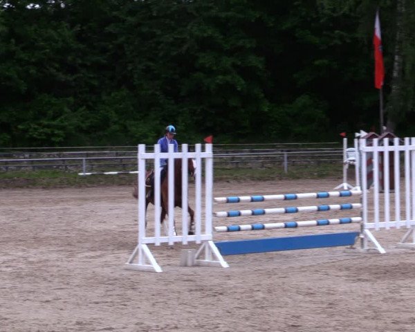 Reitturnier Lgl.-Oberhain, B95 2020