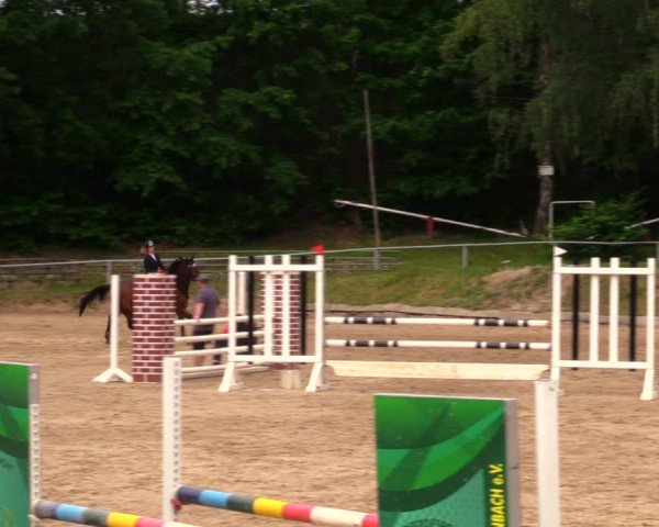 Reitturnier Lgl.-Oberhain, B95 2020