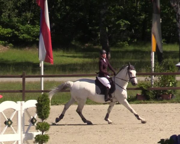 Reitturnier Westergellersen 2020