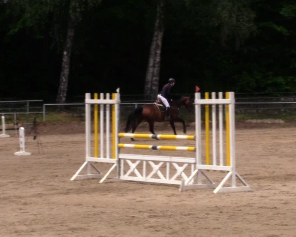 Reitturnier Lgl.-Oberhain, B95 2020