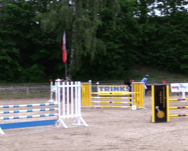 Reitturnier Lgl.-Oberhain, B95 2020
