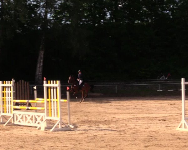 Reitturnier Lgl.-Oberhain, B95 2020