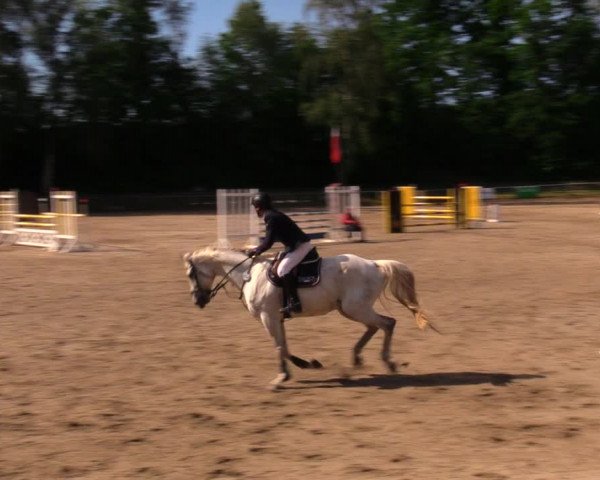 Reitturnier Lgl.-Oberhain, B95 2020