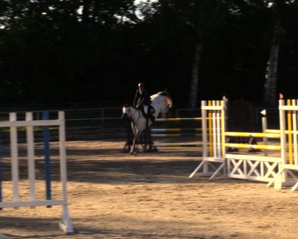 Reitturnier Lgl.-Oberhain, B95 2020