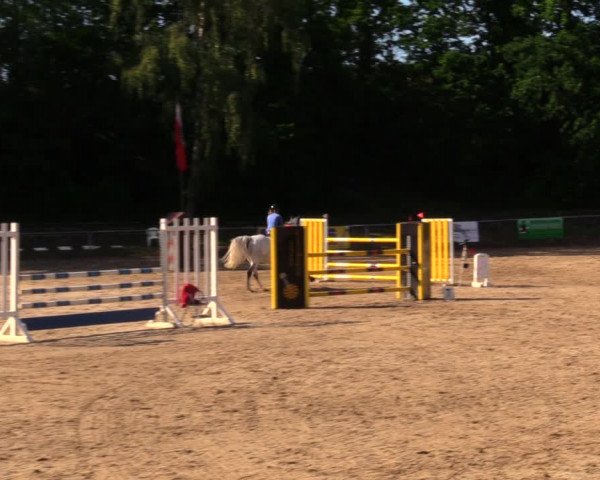 Reitturnier Lgl.-Oberhain, B95 2020