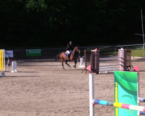 Reitturnier Lgl.-Oberhain, B95 2020
