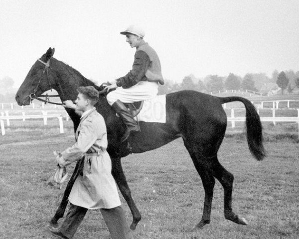 horse Belle d'Or xx (Thoroughbred, 1940, from Vatellor xx)