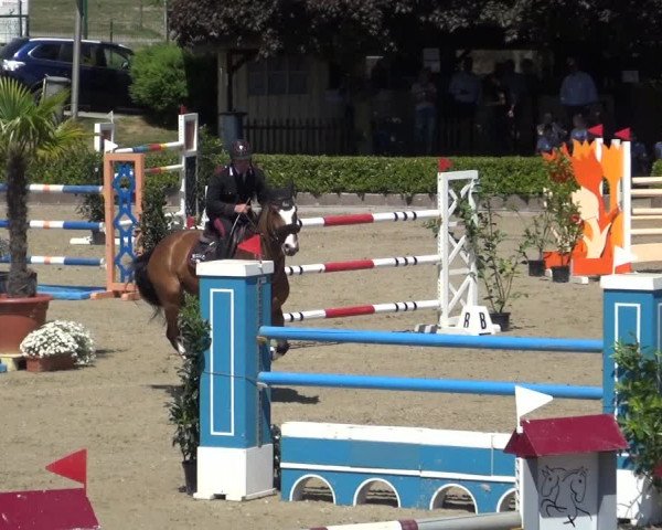 Reitturnier Wipperfürth-Kreuzberg 2020