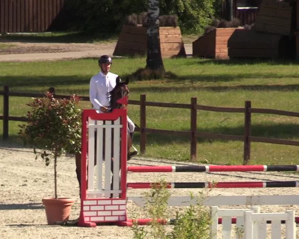 Reitturnier Westergellersen 2020