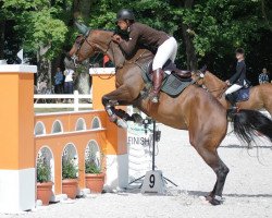 jumper Nirmette (polish noble half-breed, 2008, from Hetman)