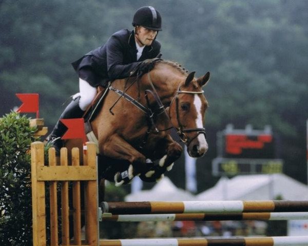jumper Fredo 48 (Hanoverian, 1997, from Ferragamo)
