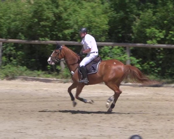 Reitturnier Erkrath - Uhlenhof 2020