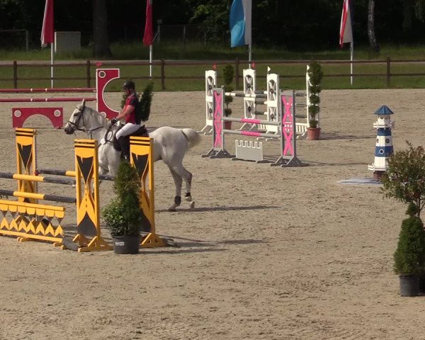 Reitturnier Westergellersen 2020