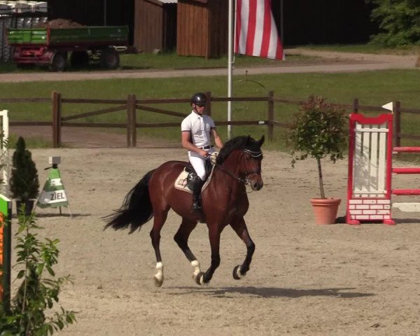 Reitturnier Westergellersen 2020
